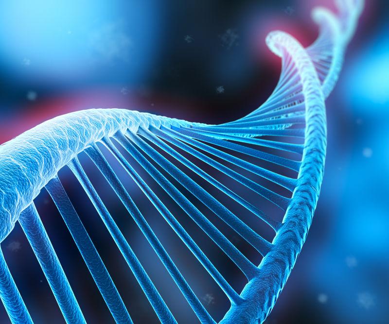 三維DNA構(gòu)造 開啟生物科技新紀(jì)元